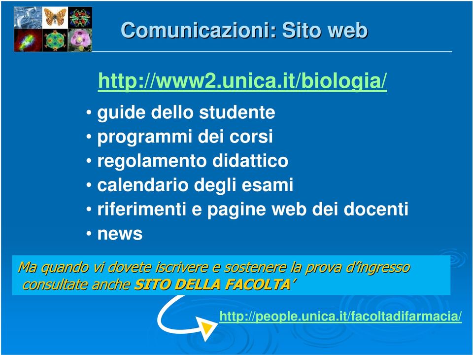 it/biologia/ guide dello studente programmi dei corsi regolamento didattico