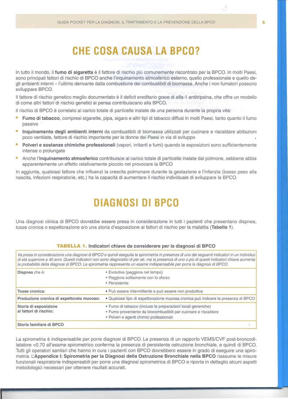 In molti Paesi, sono principali fattori di rischio di BPCO anche l'inquinamento atmosferico esterno, quello professionale e quello de gli ambienti interni - l'ultimo derivante dalla combustione dei