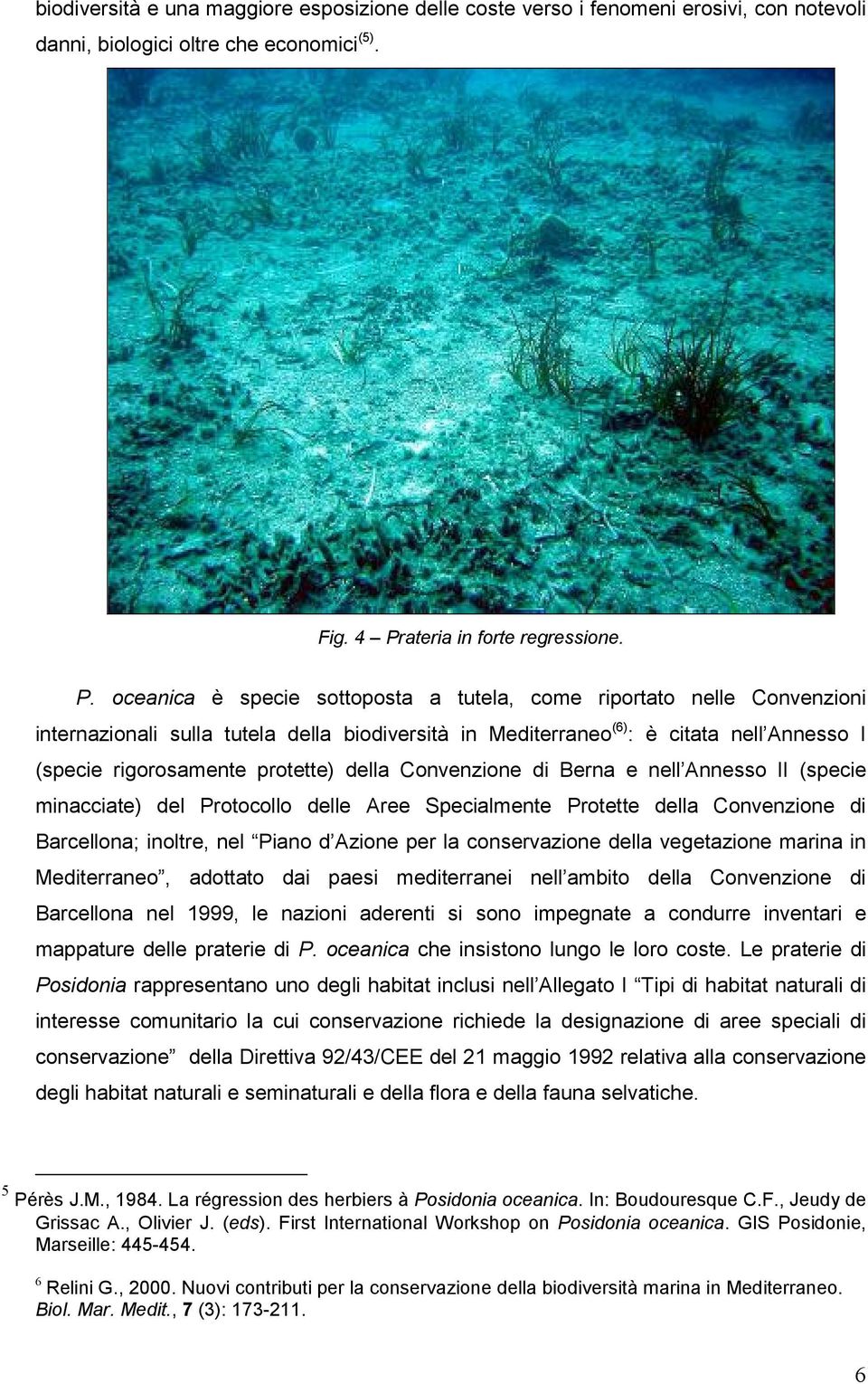 oceanica è specie sottoposta a tutela, come riportato nelle Convenzioni internazionali sulla tutela della biodiversità in Mediterraneo (6) : è citata nell Annesso I (specie rigorosamente protette)