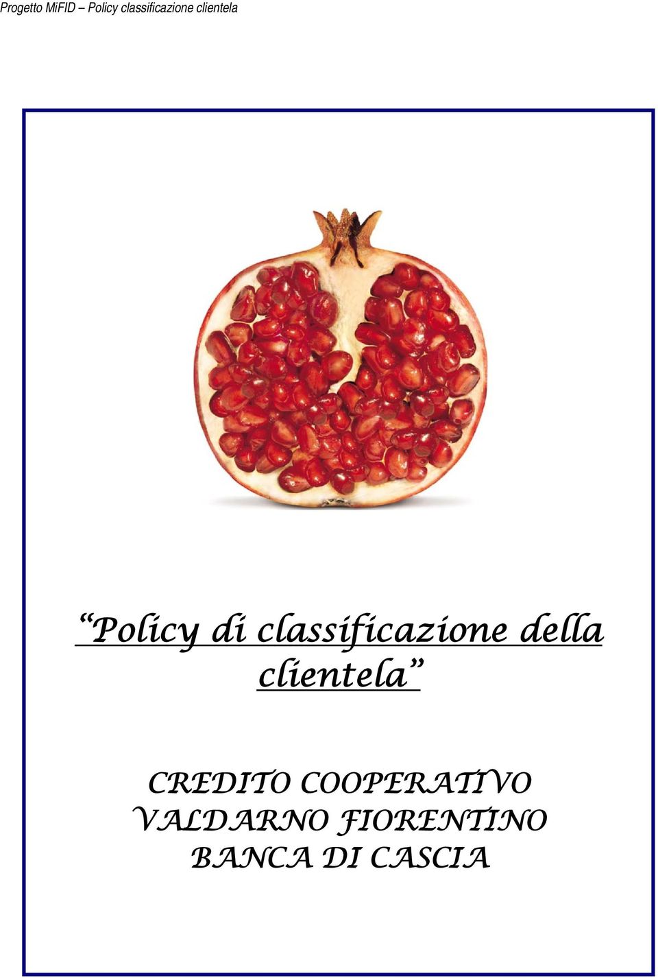 classificazione della clientela