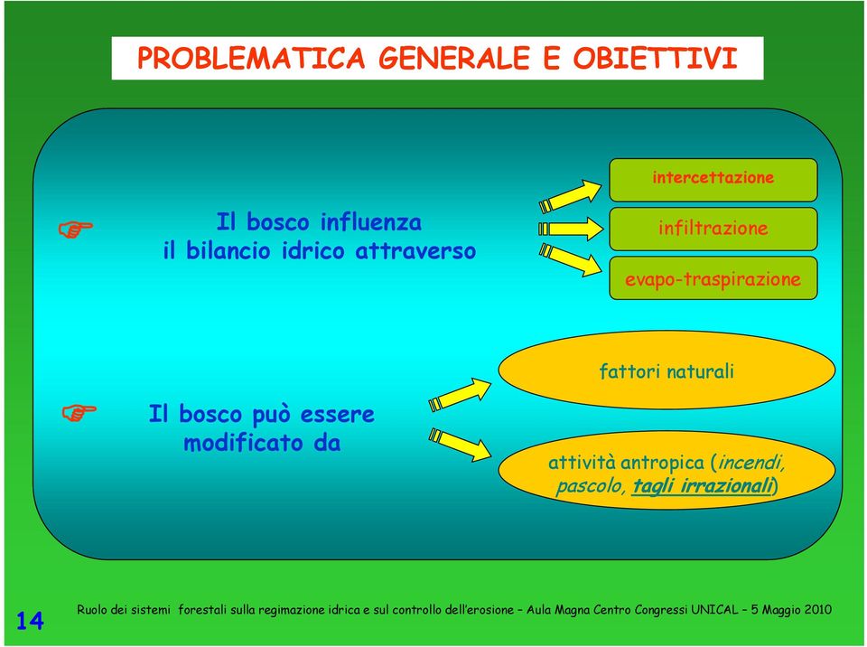 infiltrazione evapo-traspirazione Il bosco può essere