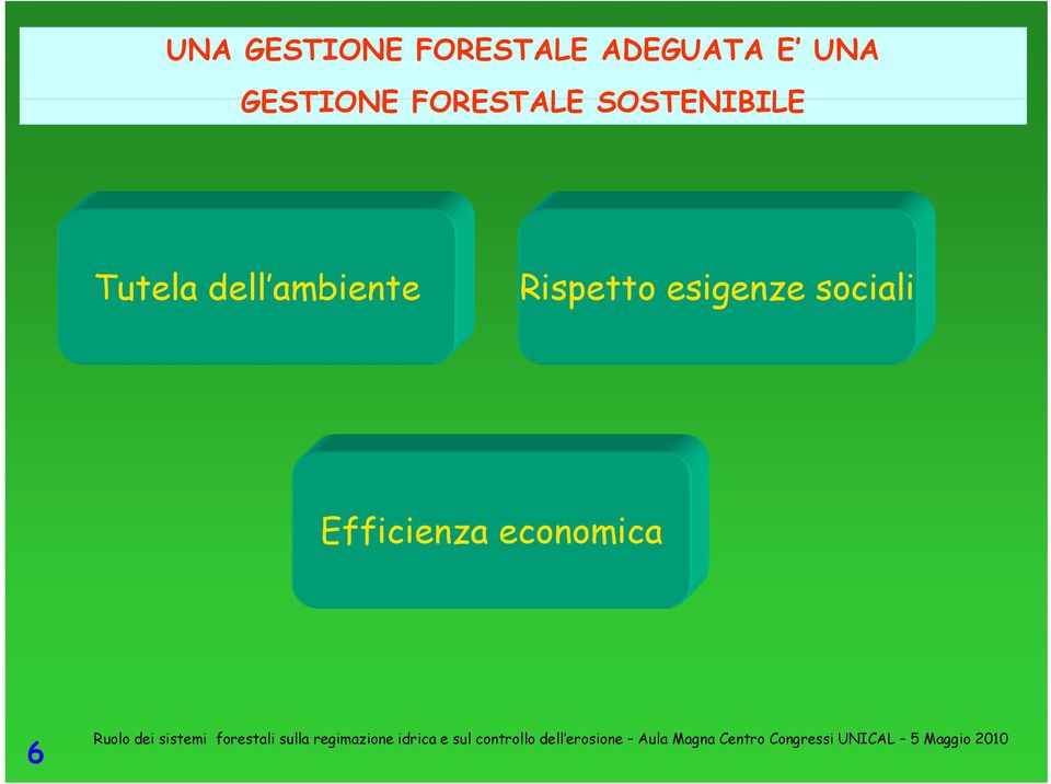 Tutela dell ambiente Rispetto