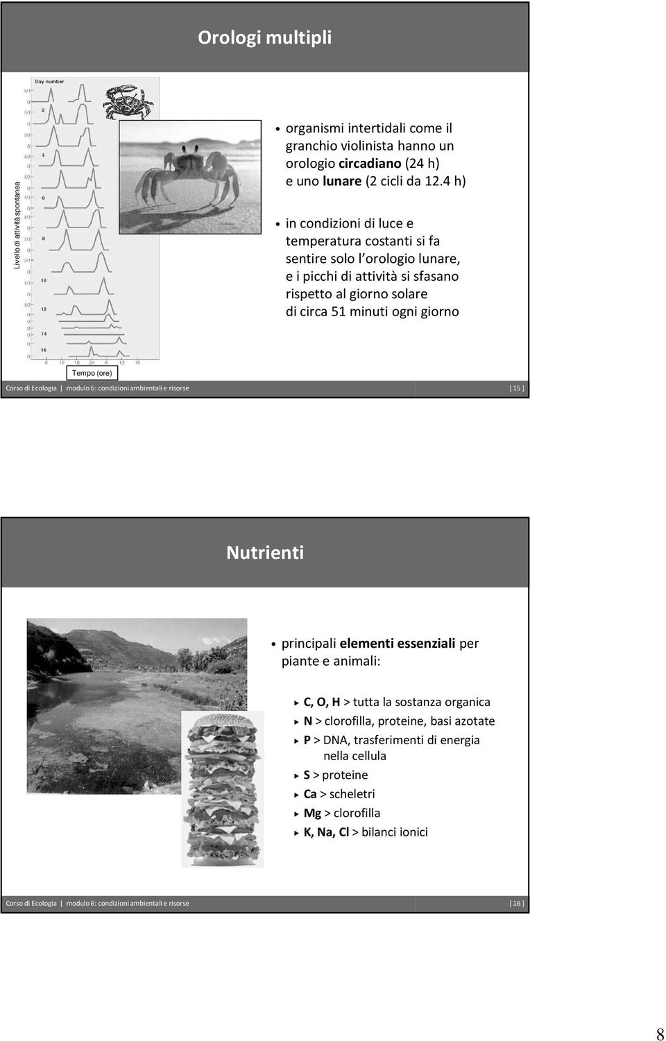 Tempo (ore) Corso di Ecologia modulo 6: condizioni ambientali e risorse [ 15] Nutrienti principali elementi essenzialiper piante e animali: C, O, H> tutta la sostanza organica N>