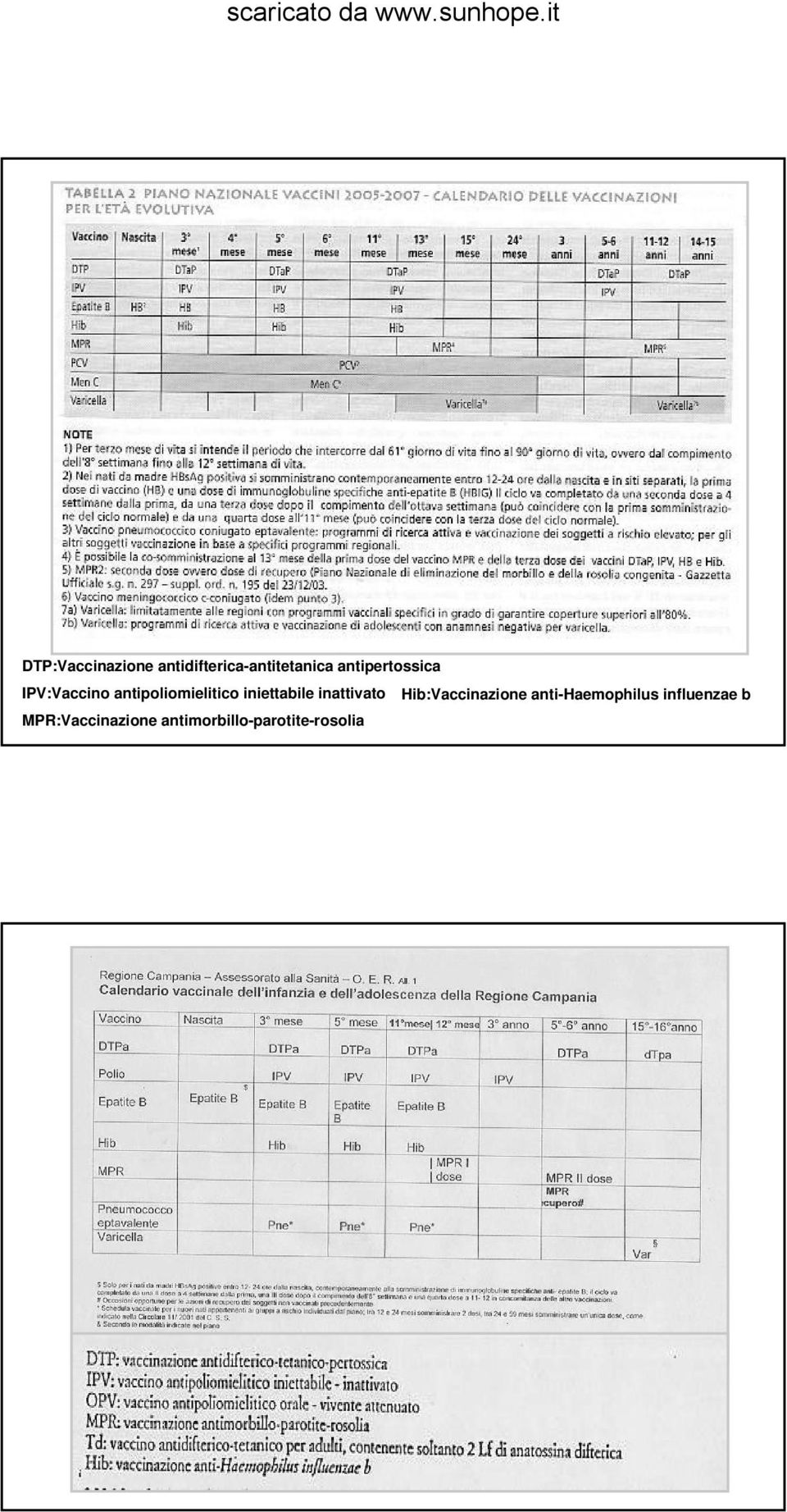 iniettabile inattivato Hib:Vaccinazione