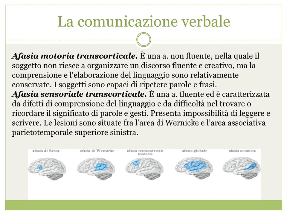 relativamente conservate. I soggetti sono capaci di ripetere parole e frasi. Afasia sensoriale transcorticale. È una a.