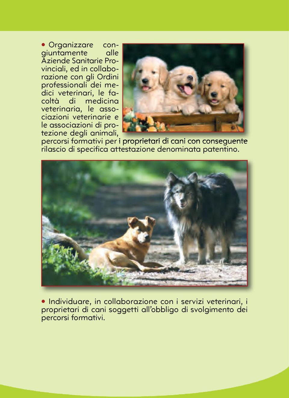 percorsi formativi per i proprietari di cani con conseguente rilascio di specifica attestazione denominata patentino.