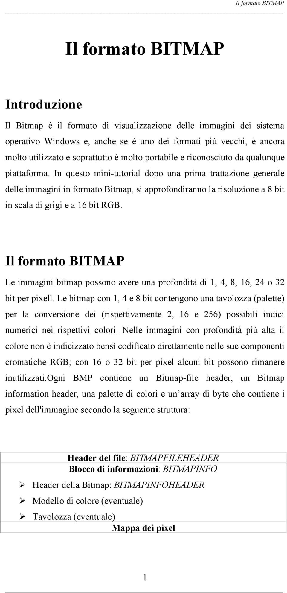 In questo mini-tutorial dopo una prima trattazione generale delle immagini in formato Bitmap, si approfondiranno la risoluzione a 8 bit in scala di grigi e a 16 bit RGB.