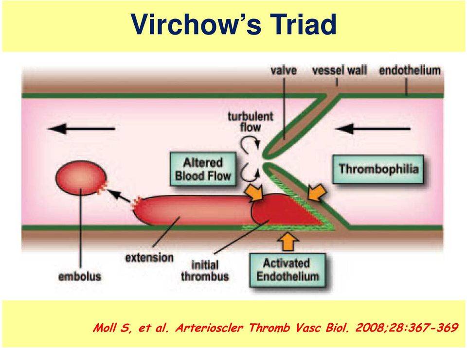 Arterioscler Thromb