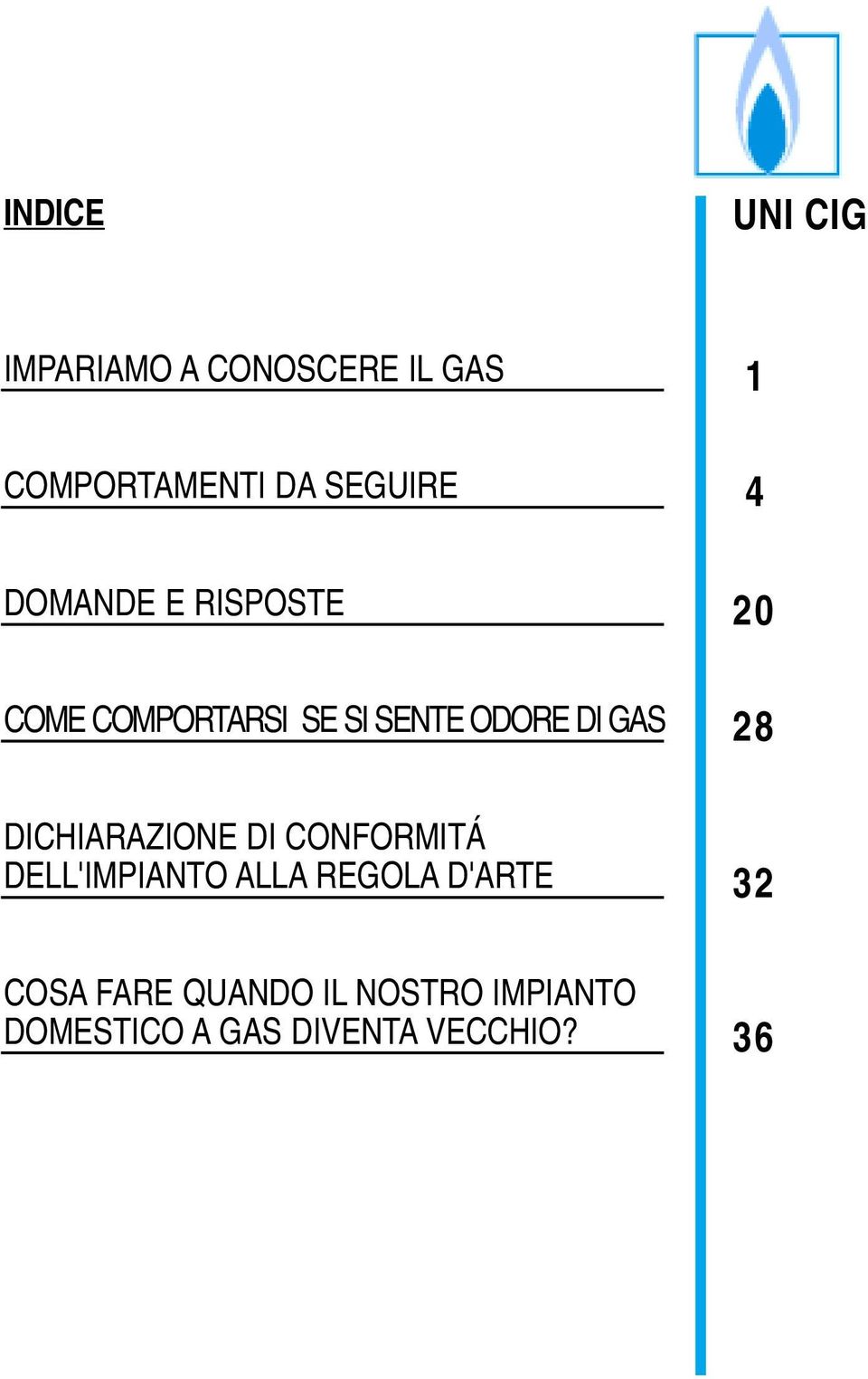 DICHIARAZIONE DI CONFORMITÁ DELL'IMPIANTO ALLA REGOLA D'ARTE 32