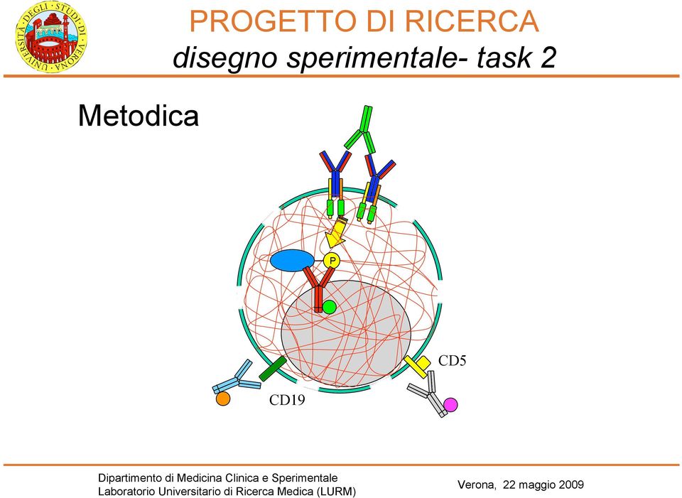 RICERCA disegno