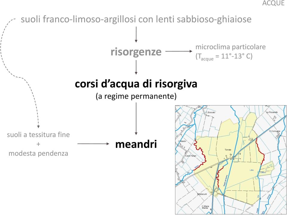 particolare (T acque = 11-13 C) corsi d acqua di