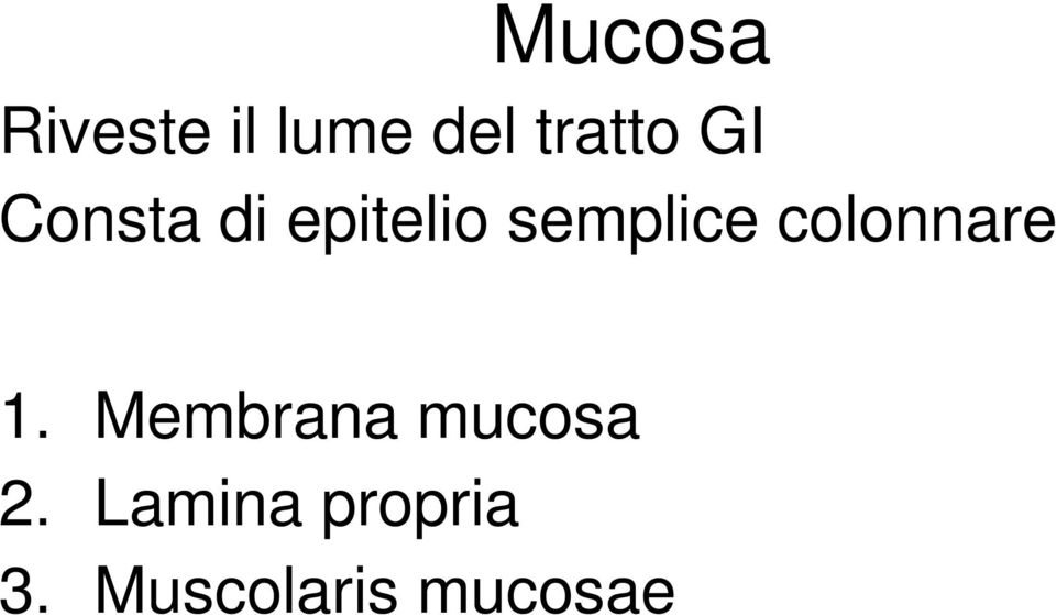 colonnare 1. Membrana mucosa 2.