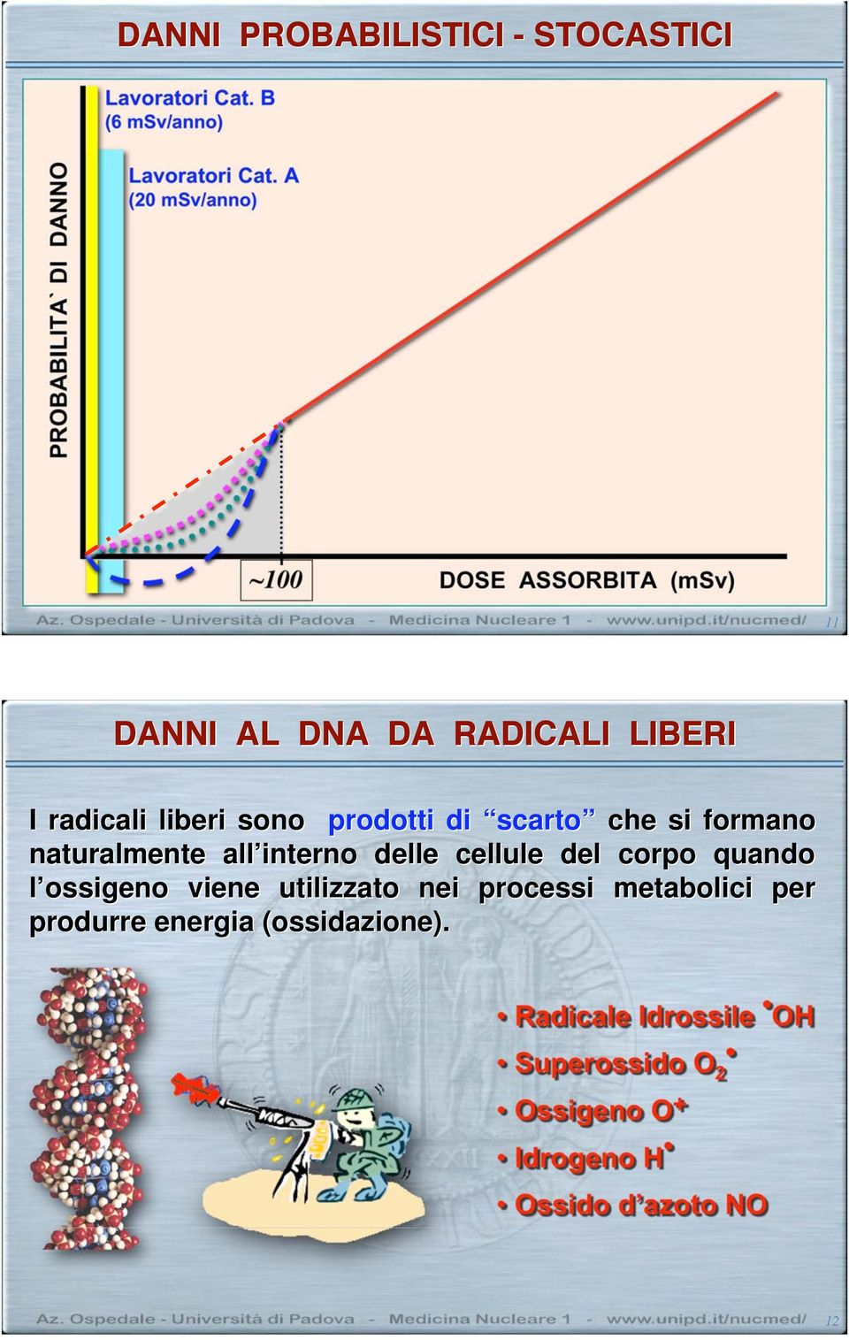 scarto che si formano naturalmente all interno delle cellule del corpo quando l ossigeno viene utilizzato nei