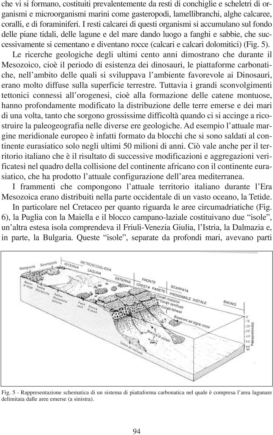 calcari dolomitici) (Fig. 5).