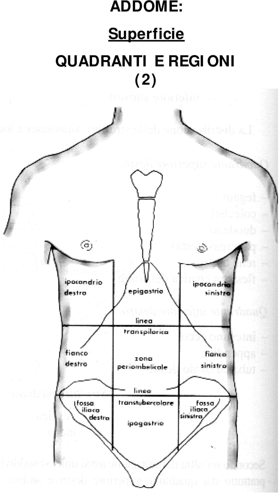 QUADRANTI