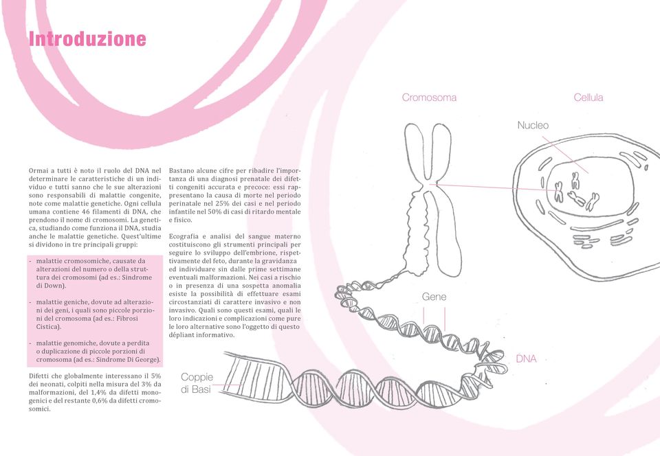 La genetica, studiando come funziona il DNA, studia anche le malattie genetiche.