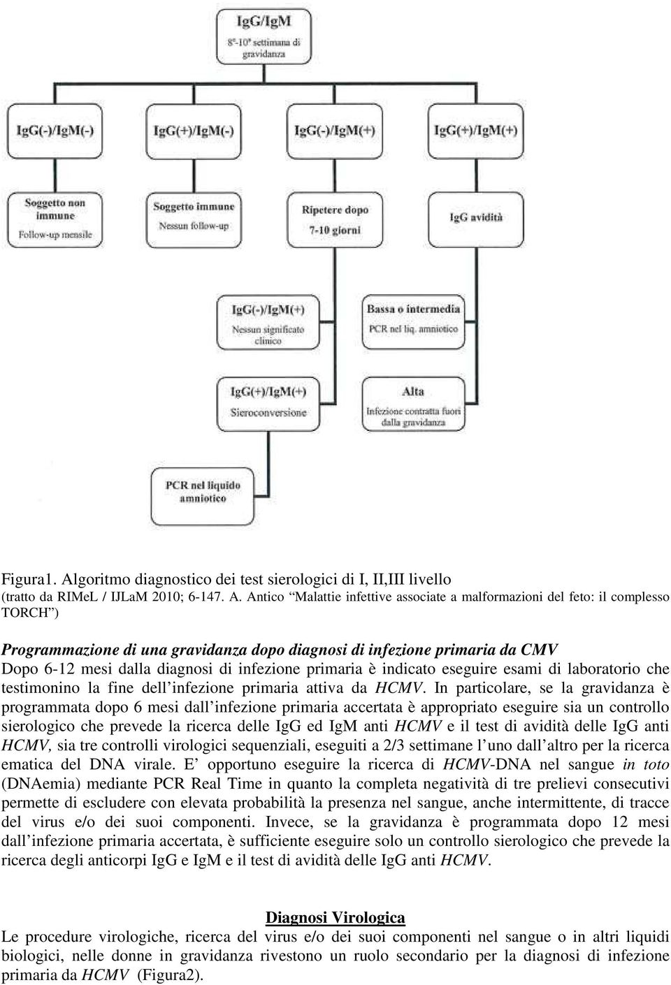 Antico Malattie infettive associate a malformazioni del feto: il complesso TORCH ) Programmazione di una gravidanza dopo diagnosi di infezione primaria da CMV Dopo 6-12 mesi dalla diagnosi di