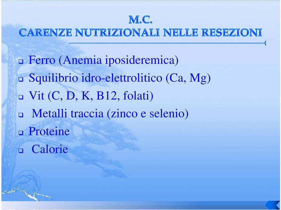 Mg) Vit (C, D, K, B12, folati)