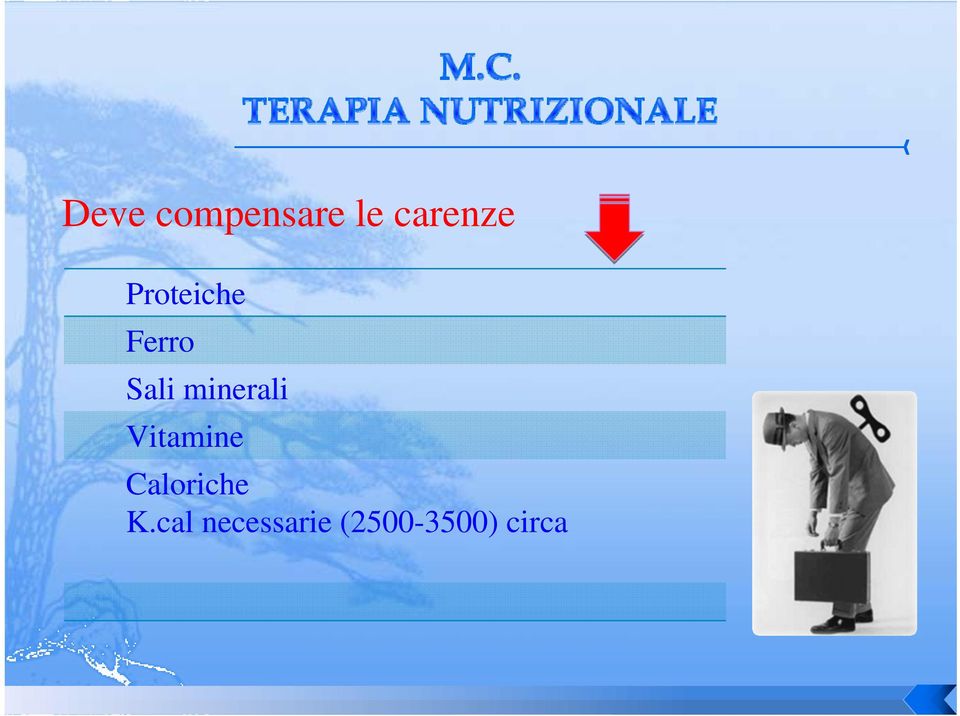 minerali Vitamine Caloriche