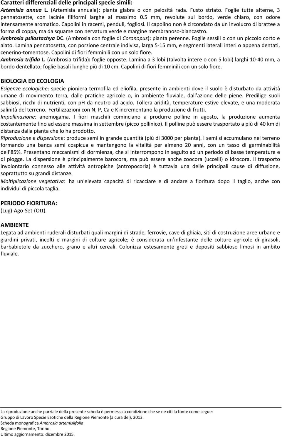 Il capolino non è circondato da un involucro di brattee a forma di coppa, ma da squame con nervatura verde e margine membranoso-biancastro. Ambrosia psilostachya DC.