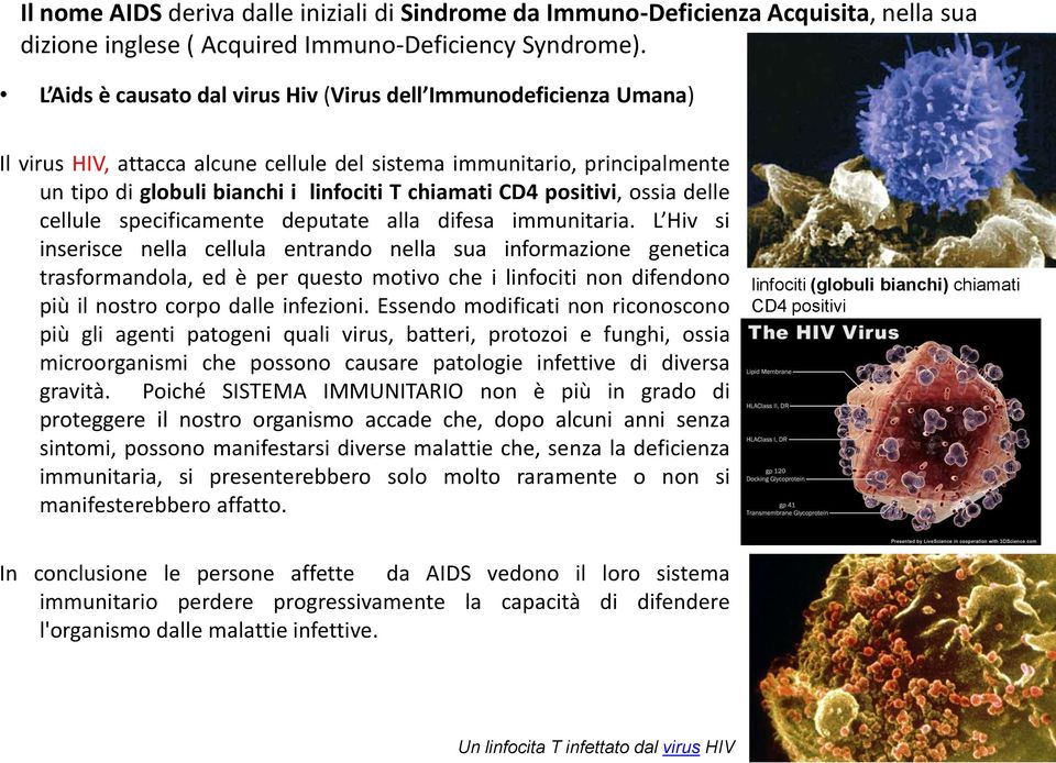 positivi, ossia delle cellule specificamente deputate alla difesa immunitaria.