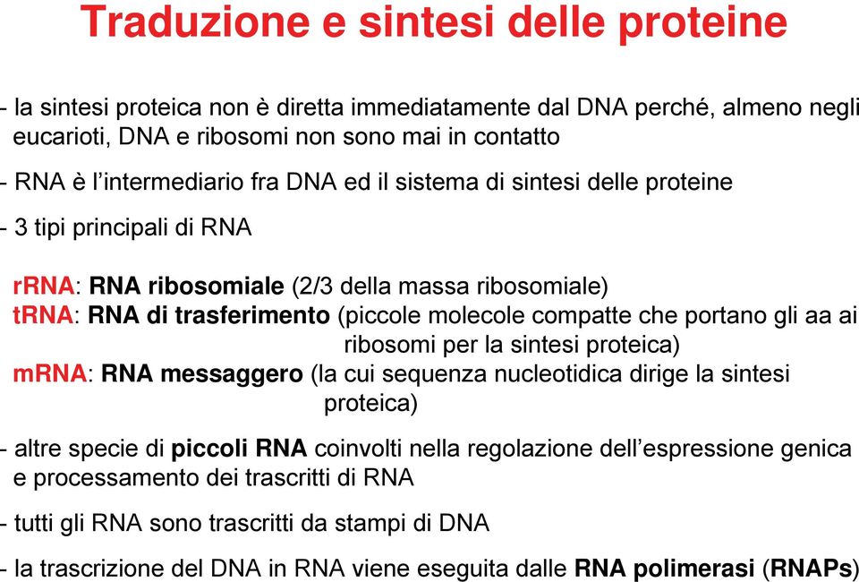 compatte che portano gli aa ai ribosomi per la sintesi proteica) mrna: RNA messaggero (la cui sequenza nucleotidica dirige la sintesi proteica) - altre specie di piccoli RNA coinvolti