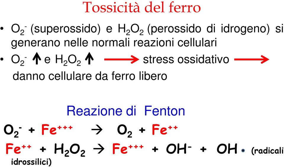 stress ossidativo danno cellulare da ferro libero Reazione di Fenton O