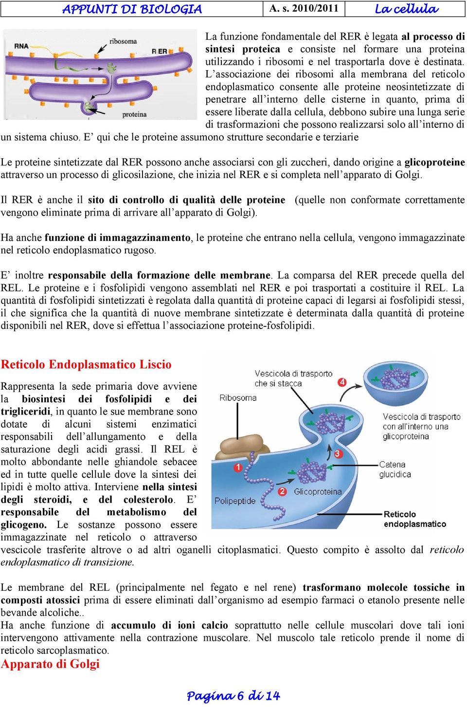 debbono subire una lunga serie di trasformazioni che possono realizzarsi solo all interno di un sistema chiuso.