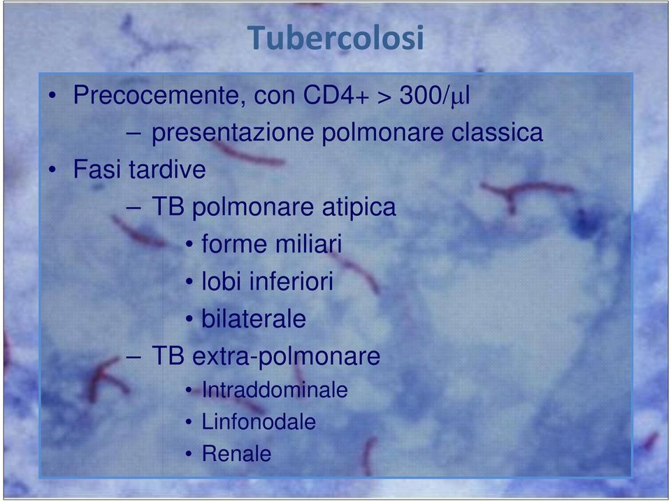 polmonare atipica forme miliari lobi inferiori