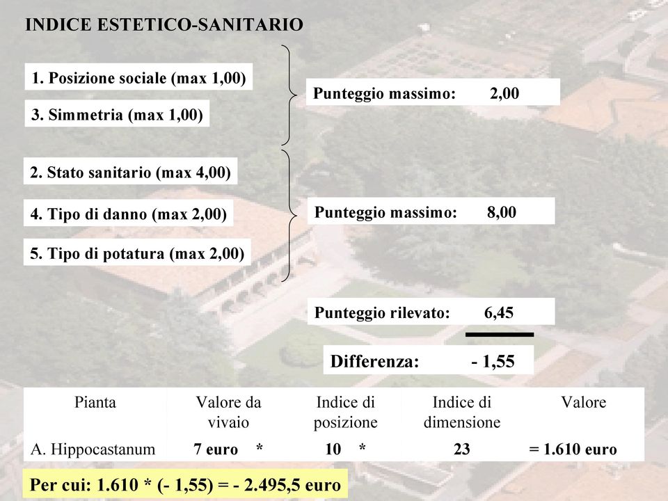 Simmetria (max 1,00) 2. Stato sanitario (max 4,00) 4. Tipo di danno (max 2,00) 5.