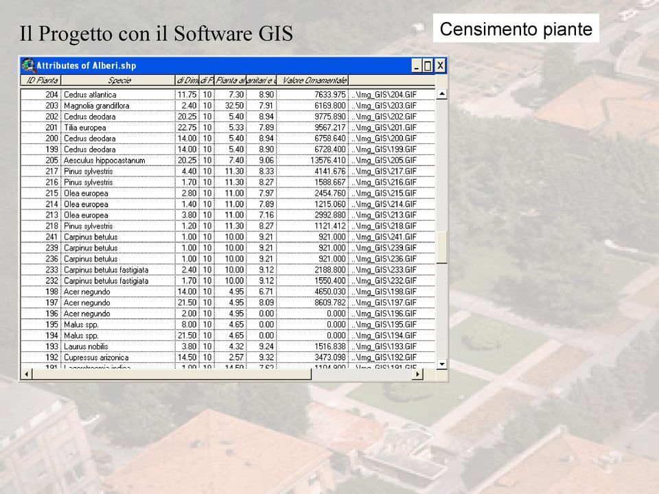 Software GIS