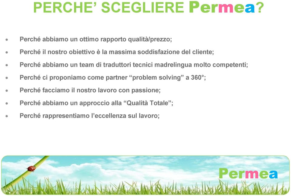 soddisfazione del cliente; Perché abbiamo un team di traduttori tecnici madrelingua molto competenti;