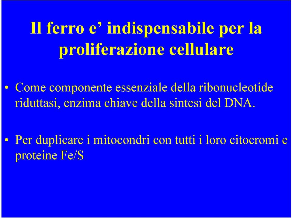 ribonucleotide riduttasi, enzima chiave della sintesi