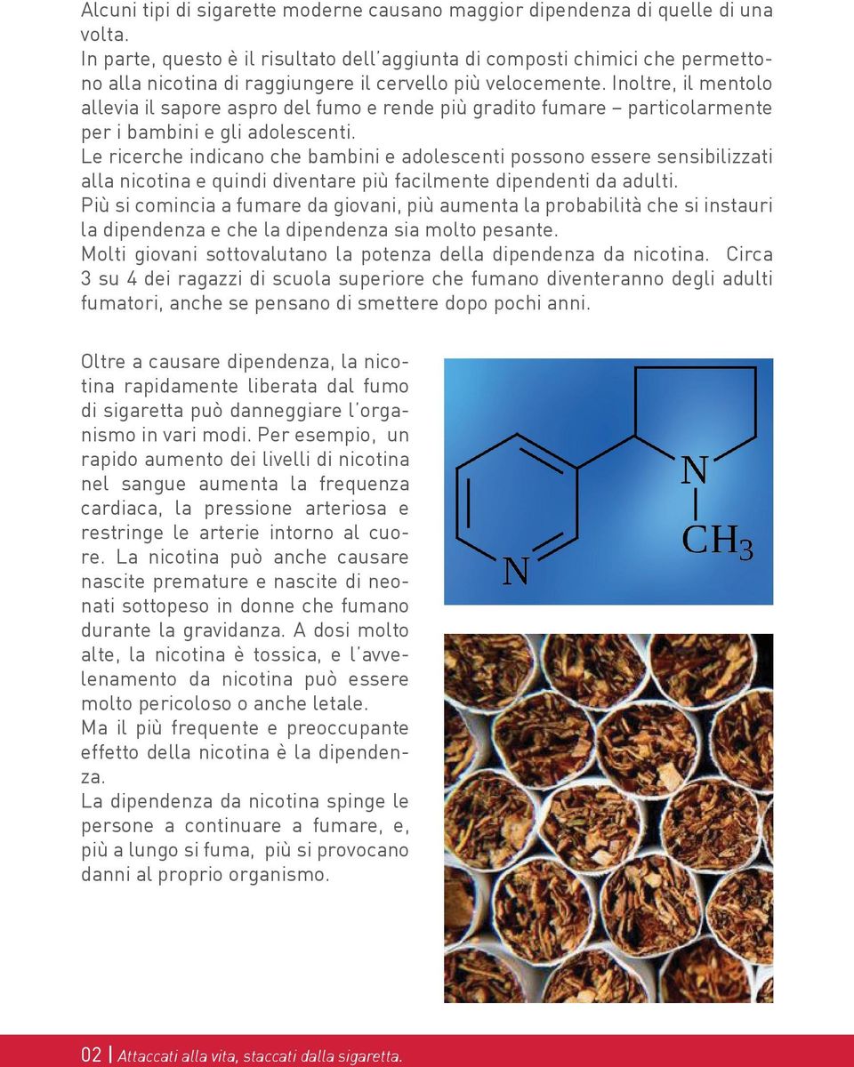 Inoltre, il mentolo allevia il sapore aspro del fumo e rende più gradito fumare particolarmente per i bambini e gli adolescenti.