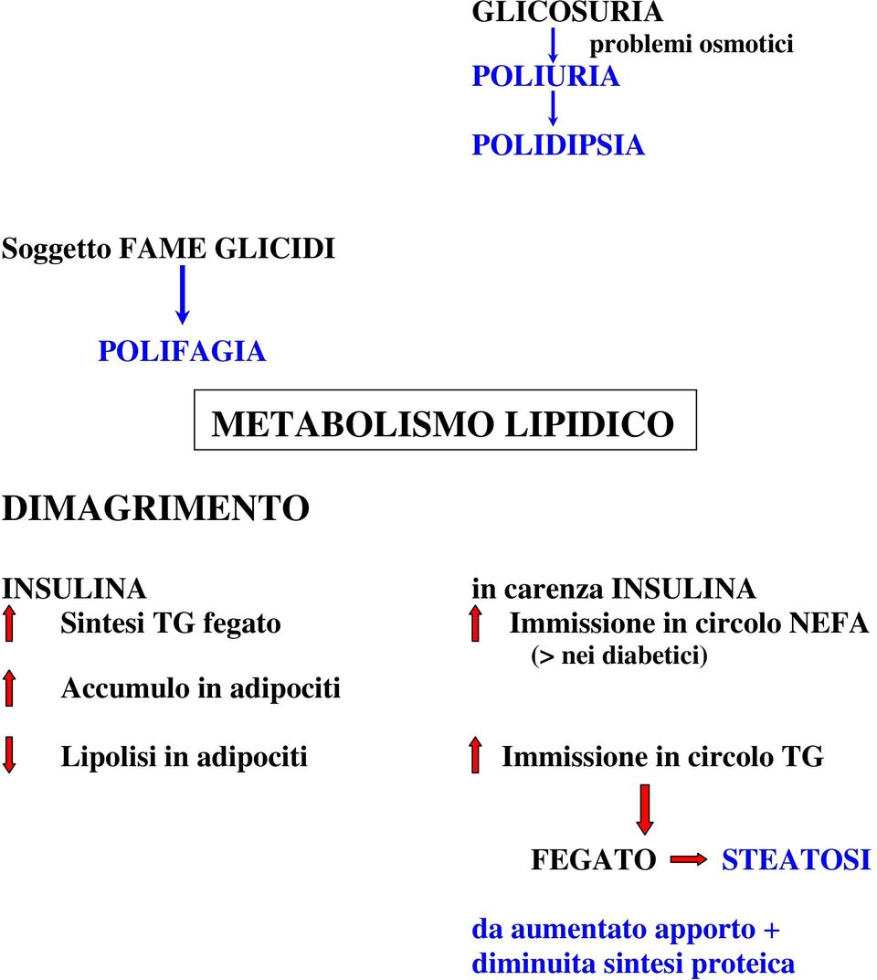 Lipolisi in adipociti in carenza INSULINA Immissione in circolo NEFA (> nei