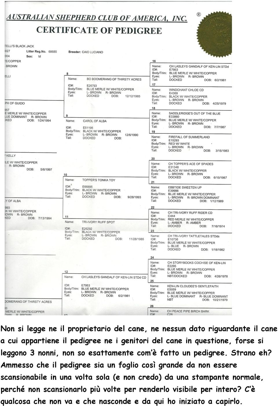 Ammesso che il pedigree sia un foglio così grande da non essere scansionabile in una volta sola (e non credo) da una