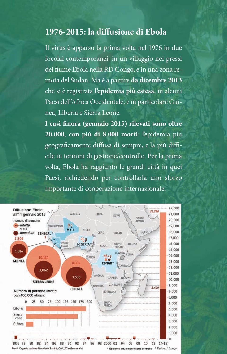 Ma è a partire da dicembre 2013 che si è registrata l epidemia più estesa, in alcuni Paesi dell Africa Occidentale, e in particolare Guinea, Liberia e Sierra Leone.