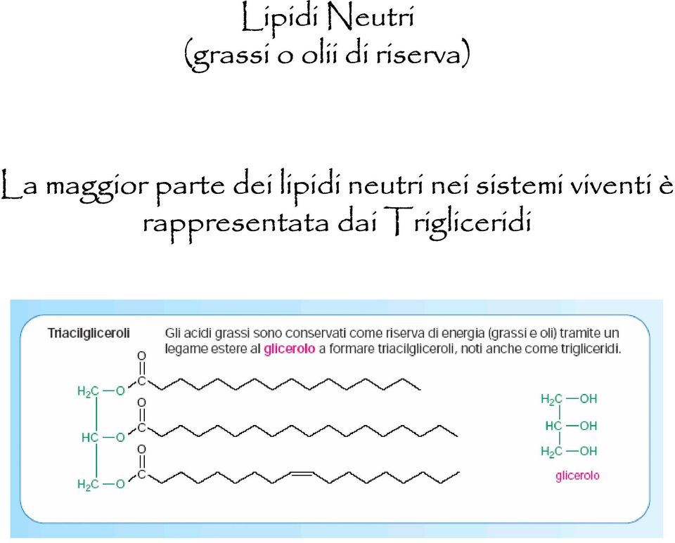 lipidi neutri nei sistemi