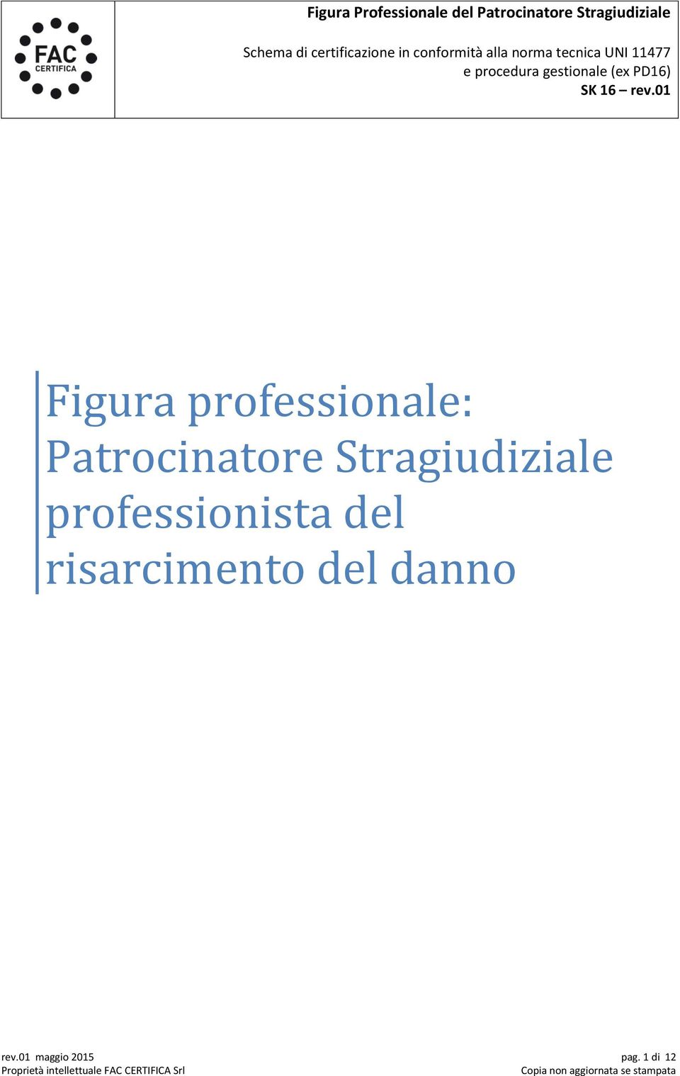 professionista del