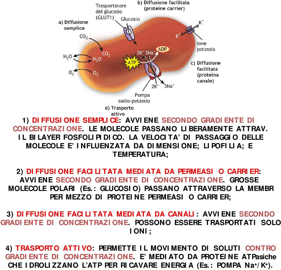 CONCENTRAZIONE. GROSSE MOLECOLE POLARI (Es.