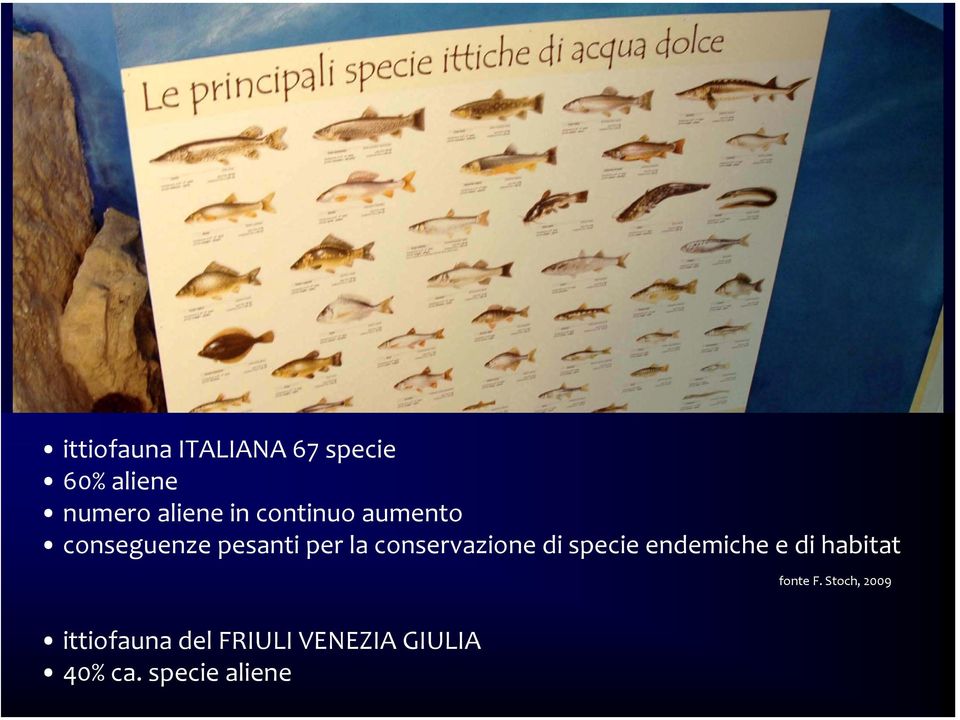 conservazione di specie endemiche e di habitat fonte F.