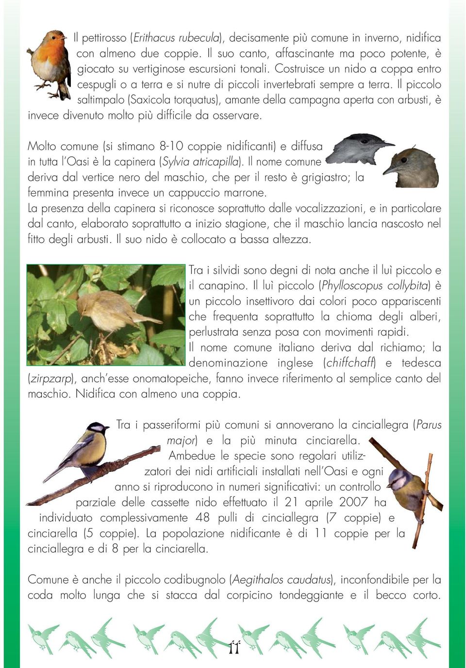 Il piccolo saltimpalo (Saxicola torquatus), amante della campagna aperta con arbusti, è invece divenuto molto più difficile da osservare.