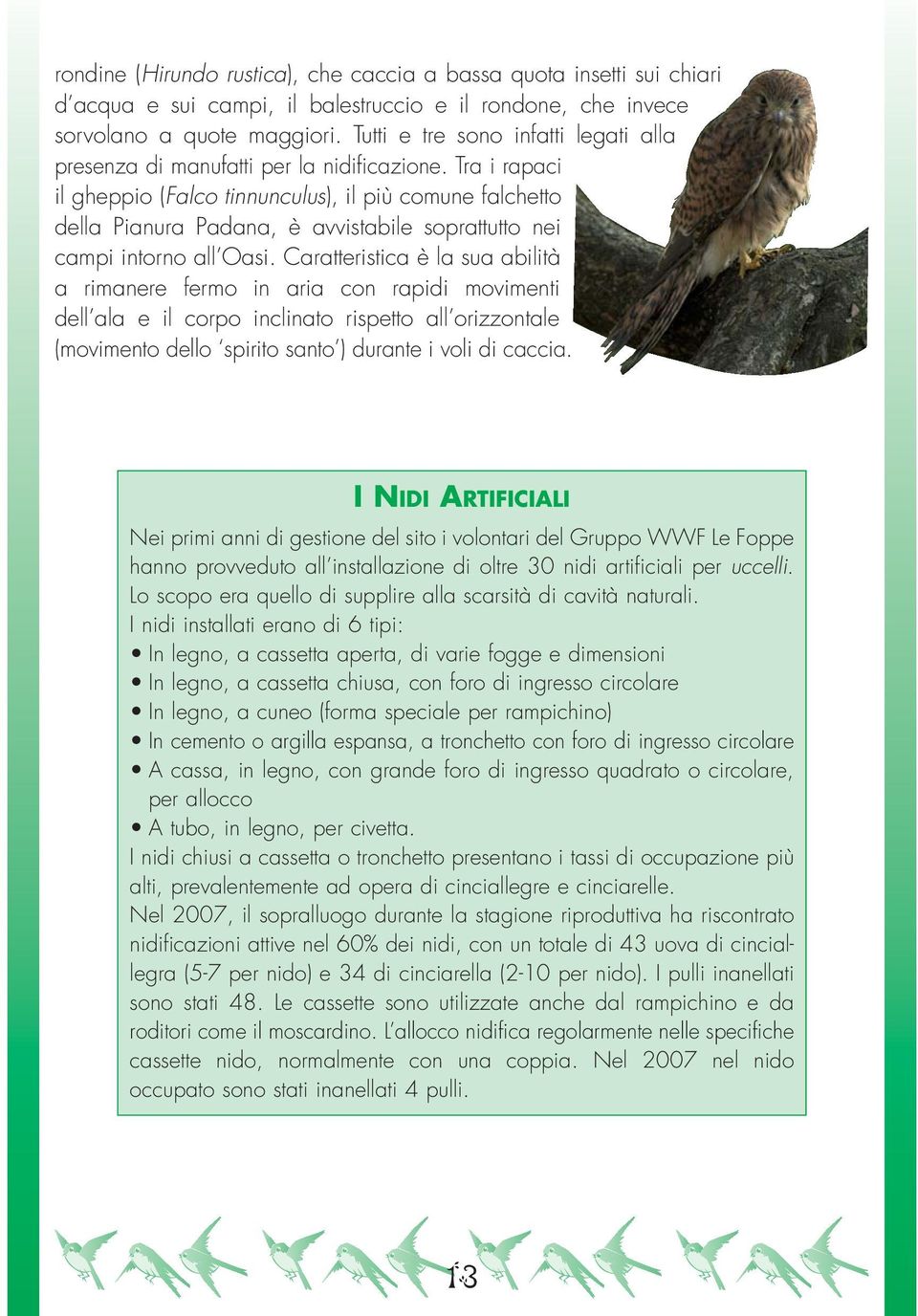 Tra i rapaci il gheppio (Falco tinnunculus), il più comune falchetto della Pianura Padana, è avvistabile soprattutto nei campi intorno all Oasi.