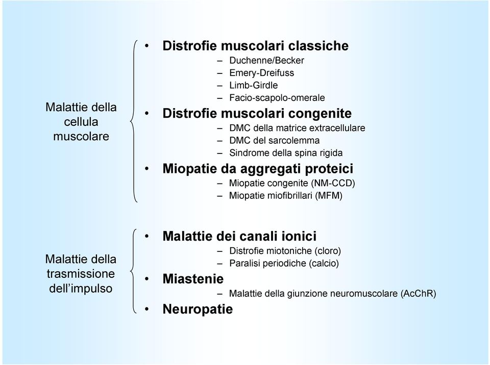 aggregati proteici Miopatie congenite (NM-CCD) Miopatie miofibrillari (MFM) Malattie della trasmissione dell impulso Malattie dei