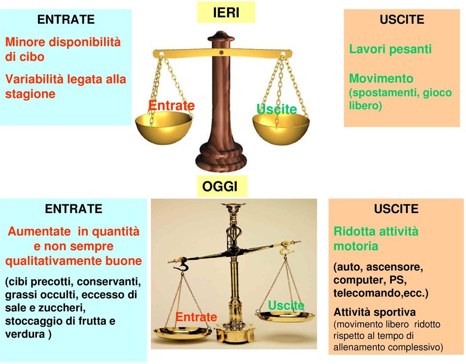 conservanti, grassi occulti, eccesso di sale e zuccheri, stoccaggio di frutta e verdura ) Entrate Uscite Ridotta attività