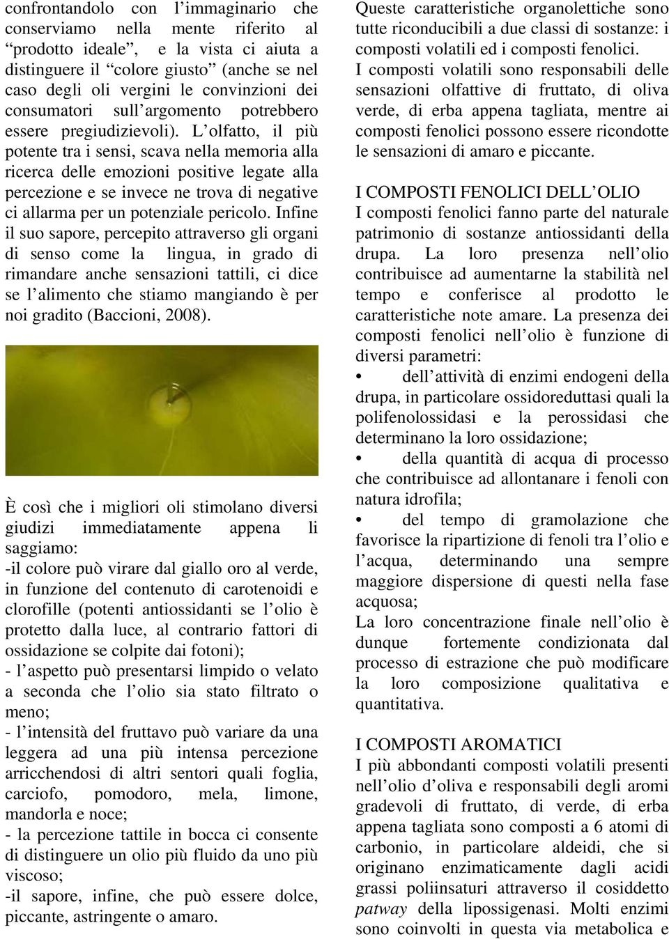 L olfatto, il più potente tra i sensi, scava nella memoria alla ricerca delle emozioni positive legate alla percezione e se invece ne trova di negative ci allarma per un potenziale pericolo.