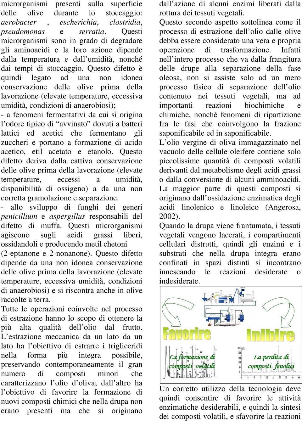 Questo difetto è quindi legato ad una non idonea conservazione delle olive prima della lavorazione (elevate temperature, eccessiva umidità, condizioni di anaerobiosi); - a fenomeni fermentativi da