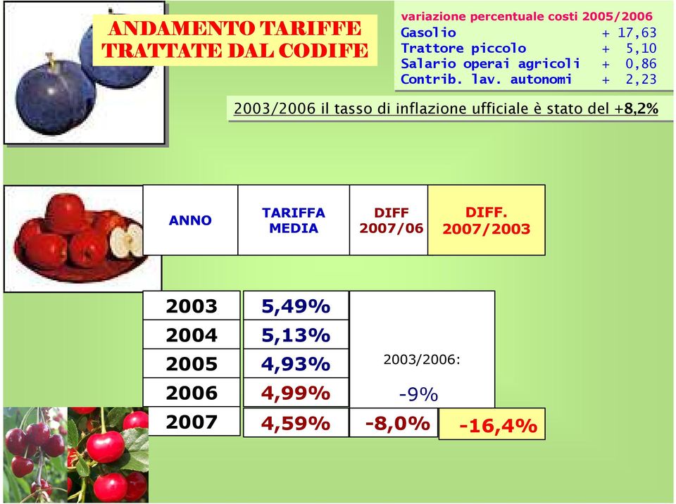 autonomi + 2,23 2003/2006 il tasso di inflazione ufficiale è stato del +8,2% ANNO TARIFFA