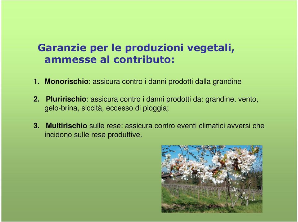 Pluririschio: assicura contro i danni prodotti da: grandine, vento, gelo-brina,