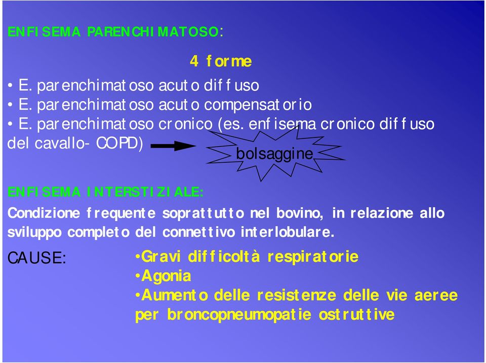 enfisema cronico diffuso del cavallo- COPD) bolsaggine ENFISEMA INTERSTIZIALE: Condizione frequente soprattutto